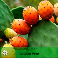 Табак Tangiers Birquq Opuntia Pear №33, 250 грамм