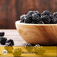 Табак Tangiers Noir Blackberry №59, 100 грамм