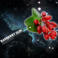 Табак DarkSide Barberry Gum (Soft), 100 грамм