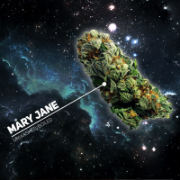 Табак DarkSide Mary Jane (Medium), 250 грамм