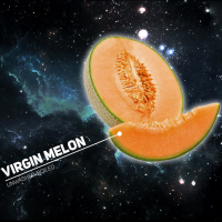 Табак DarkSide Virgin Melon (Soft), 100 грамм