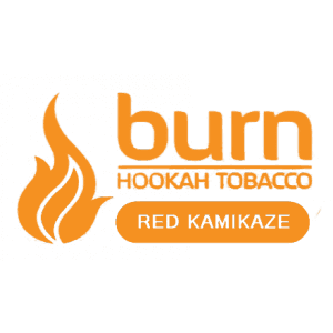 Burn - logo